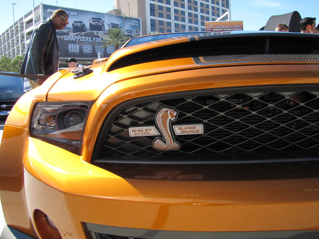 Ford-Mustang-DUB-Shelby-gold-grill.JPG